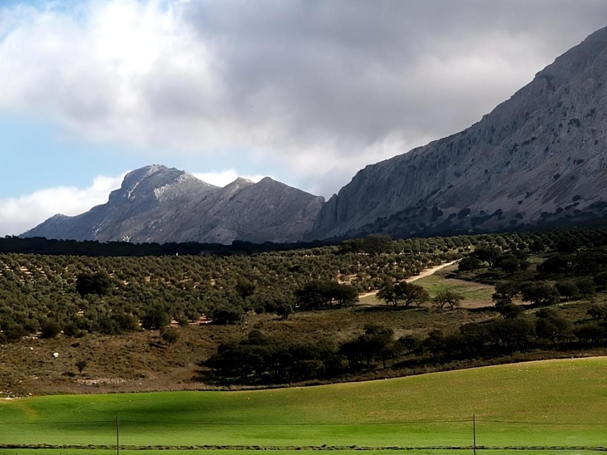 Hostal Colon Antequera Buitenkant foto